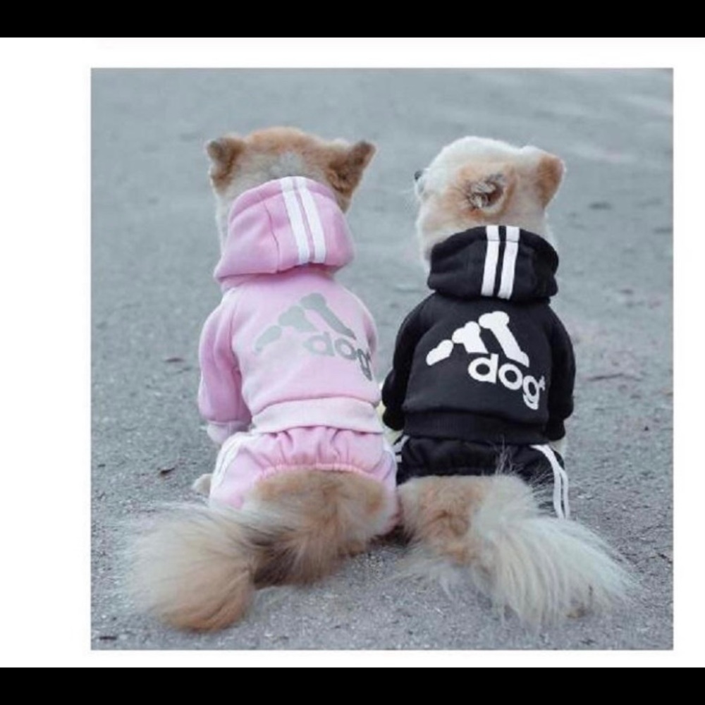 🐾 AdiDog Sweatsuit 🐾